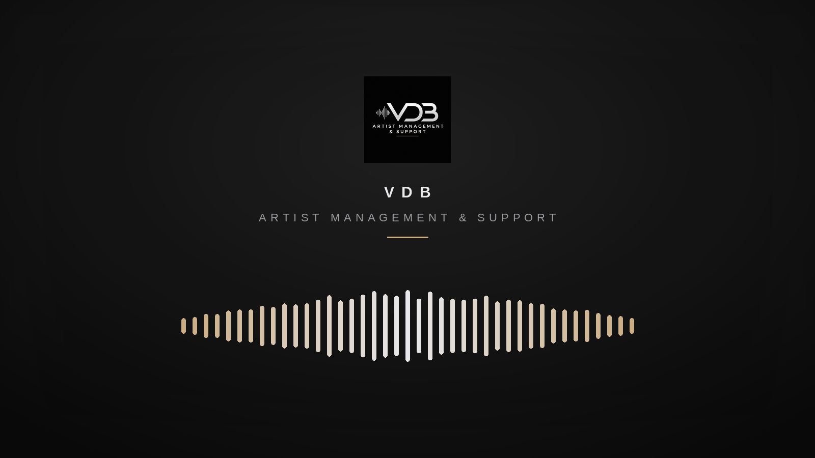 Lancering van VDB Artist Management & Support